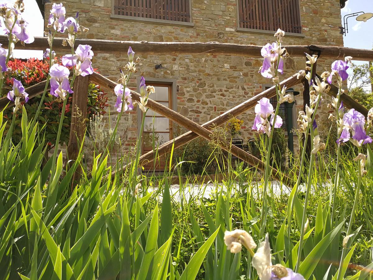 Residence Il Poggiolino Montecarelli Dış mekan fotoğraf